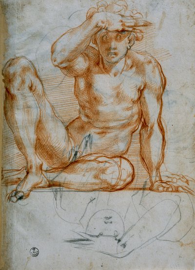 Study of a Nude Making a Shadow with His Hand by Michelangelo Buonarroti